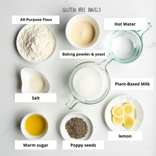 Ingredients of Homemade gluten free bagels 